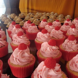 Cupcakes e Mini-Cupcakes